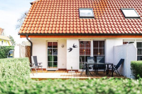 Rauchschwalbe in Zingst